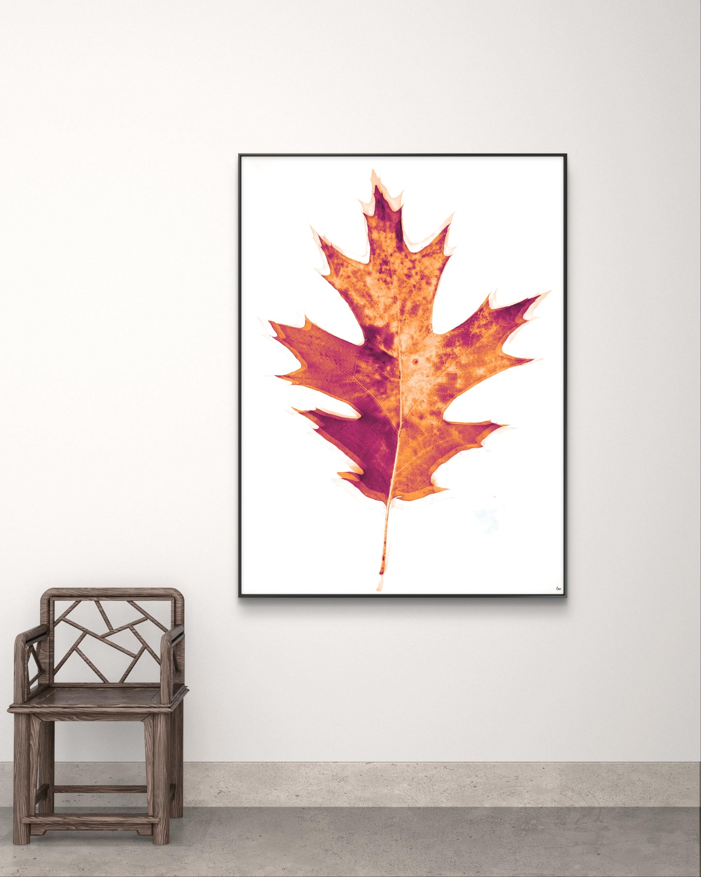 Radiografía de Otoño