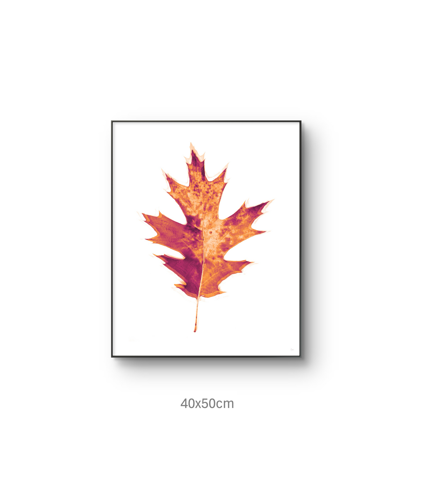 Otoño