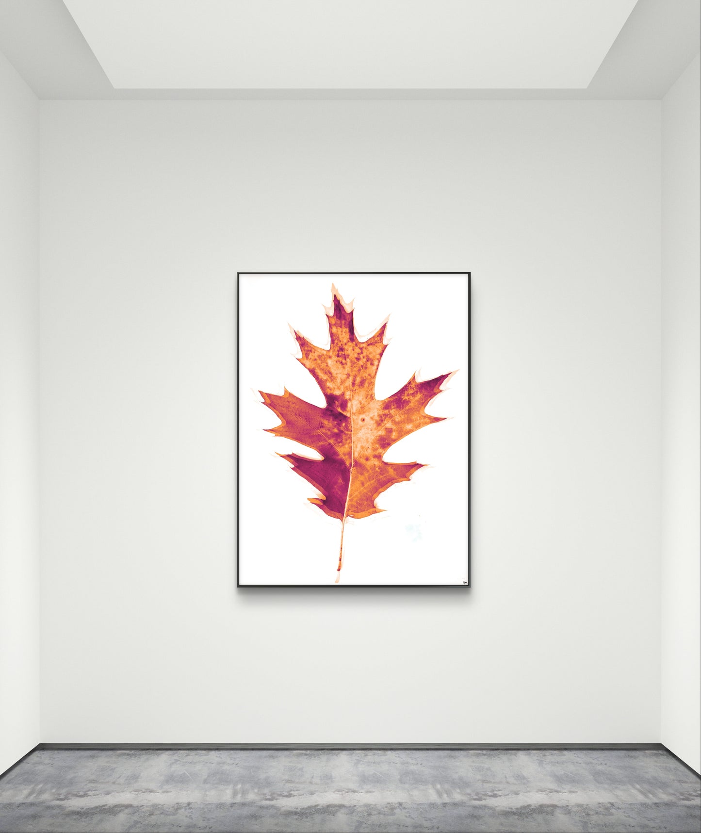 Radiografía de Otoño